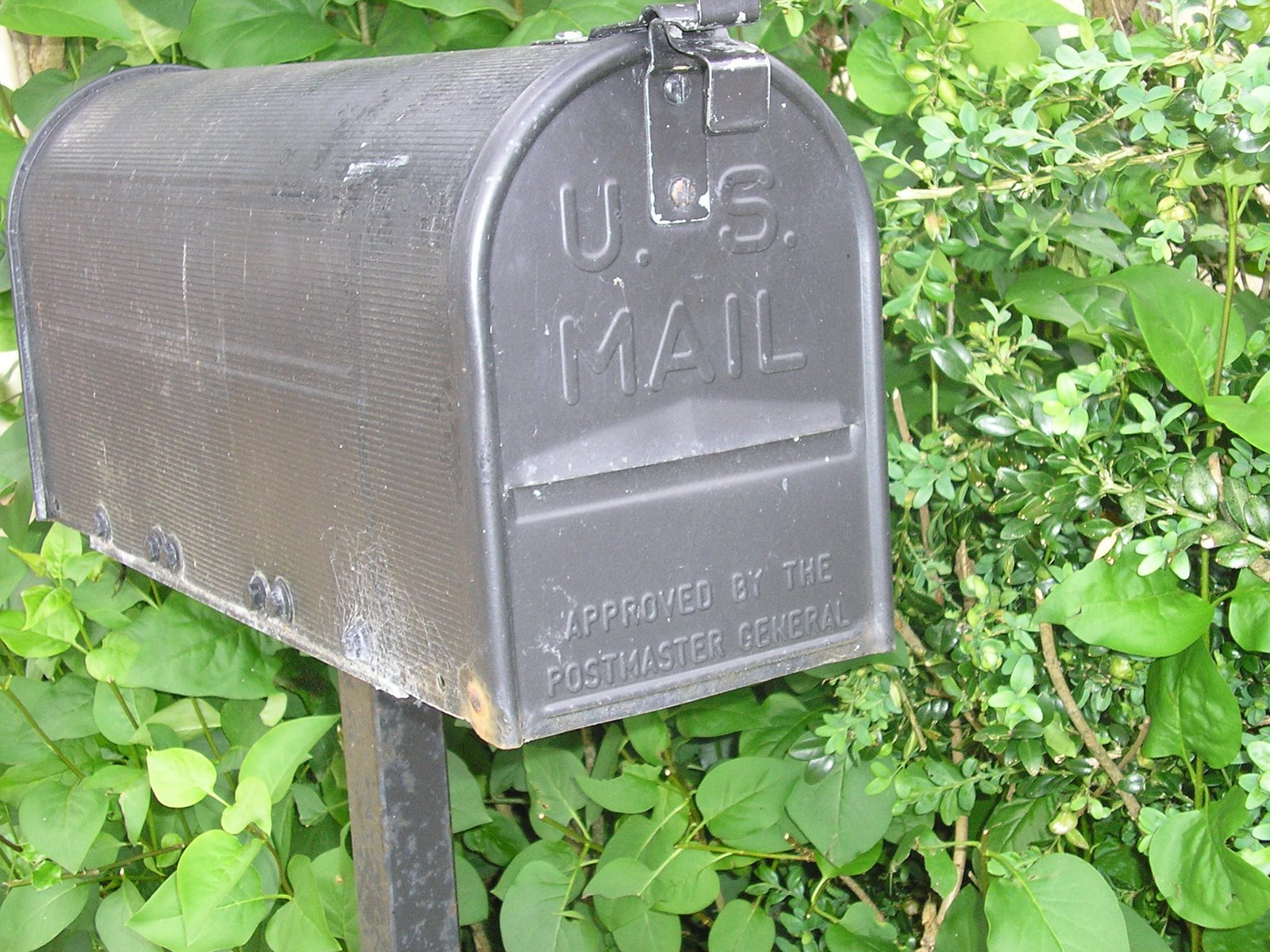 [mail+box.JPG]