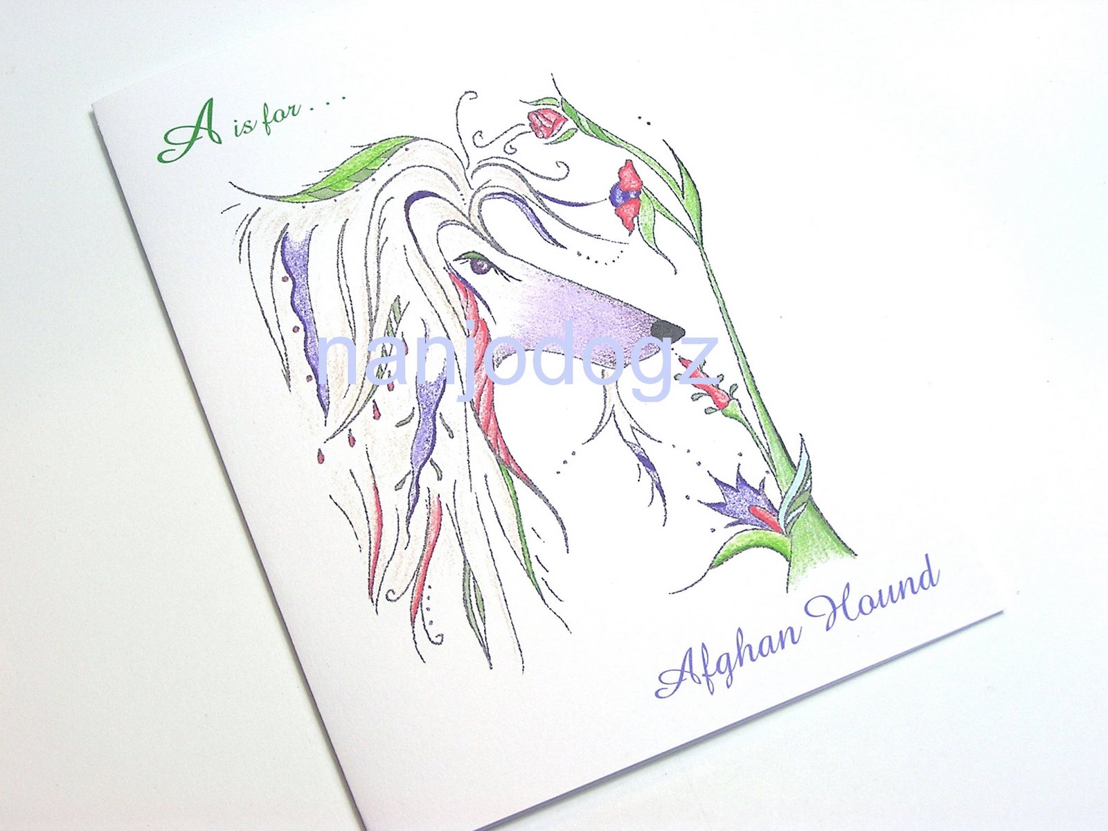 [A-Afghannotecard.jpg]