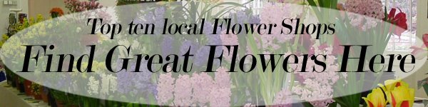 mn floral shops Here