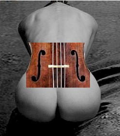 [cello.jpg]