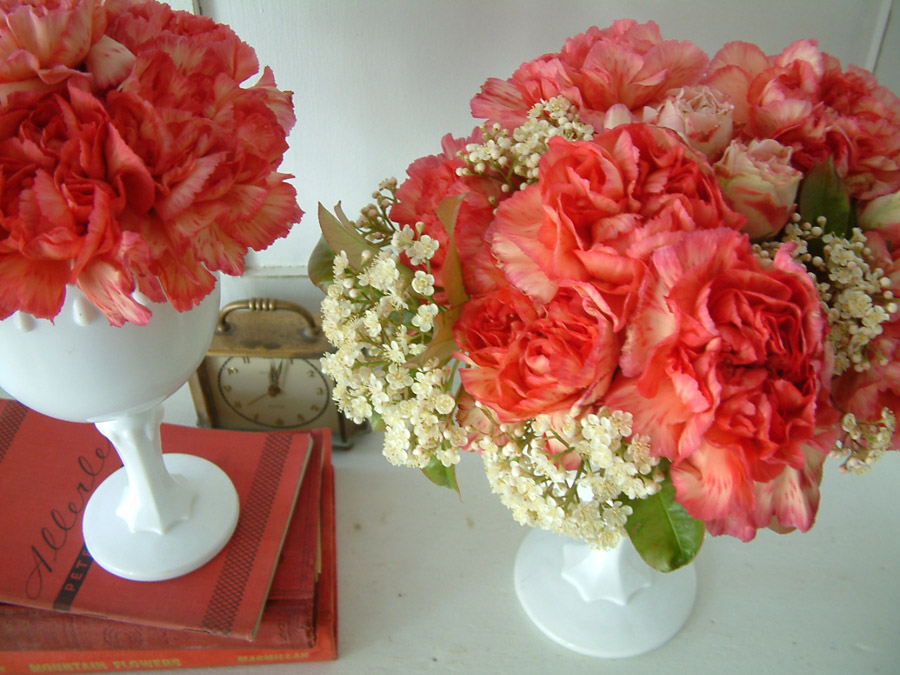 [carnations.jpg]