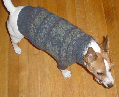 [dogsweater2.jpg]