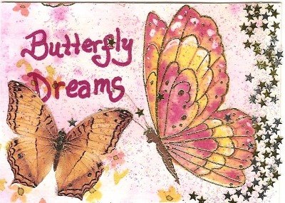 [butterfly+dreams.jpg]
