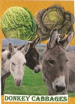 [donkey+cabbages.jpg]