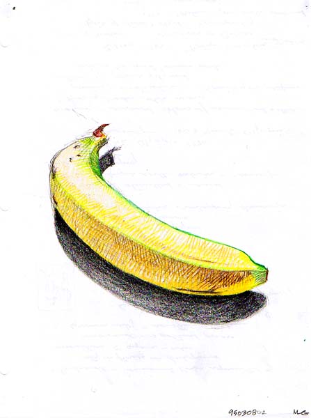 [drawing.1995030802.banana.jpg]