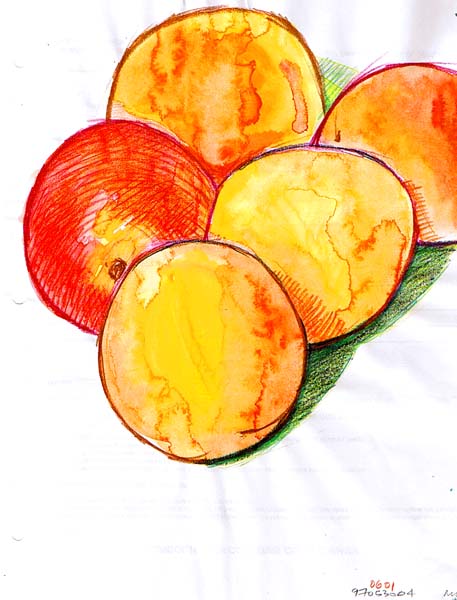 [drawing.19970601.mangoes.jpg]
