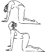 [yoga.h8.gif]