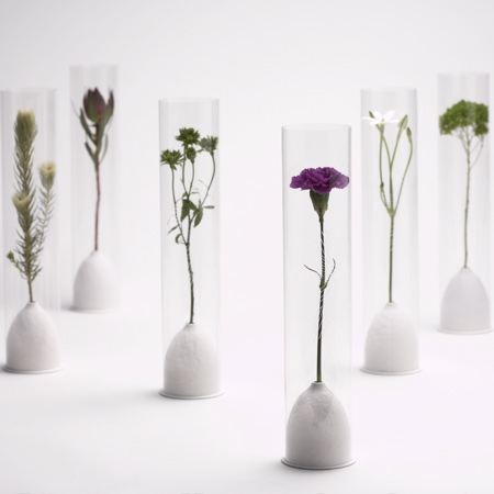 [flower+vase.jpg]