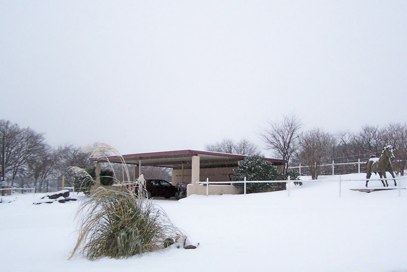[snow+in+front+yard.jpg]