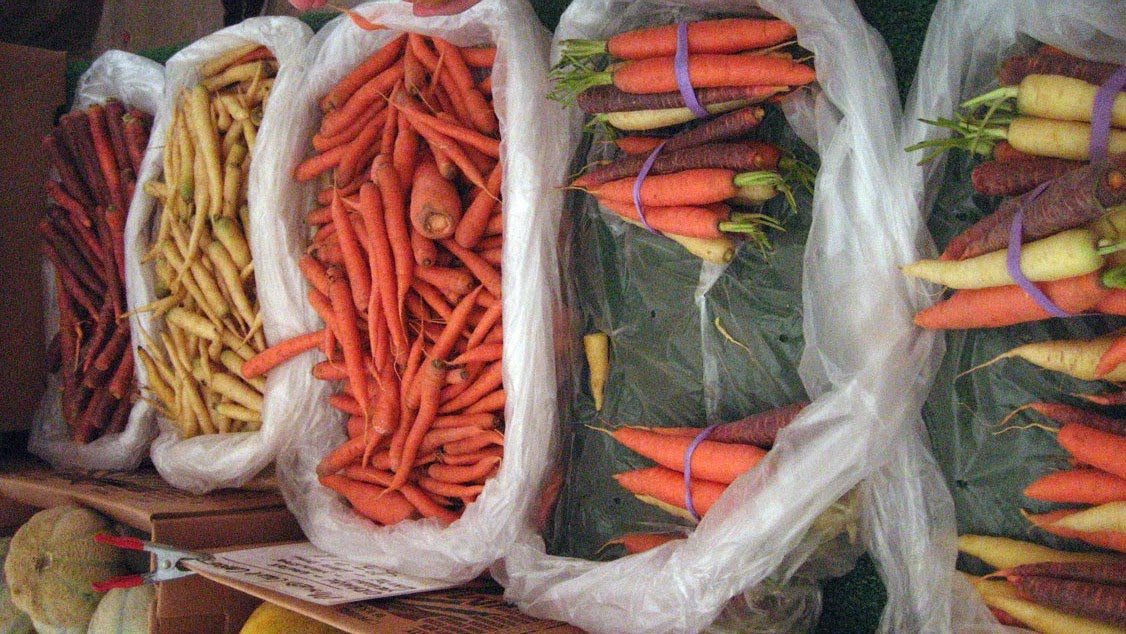 [Multicolored+Carrots.jpg]