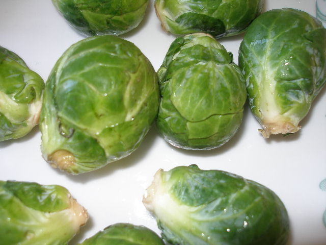 [brussels+sprouts+close.JPG]