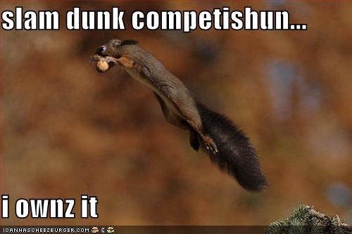 [funny-pictures-slam-dunk-squirrel.jpg]