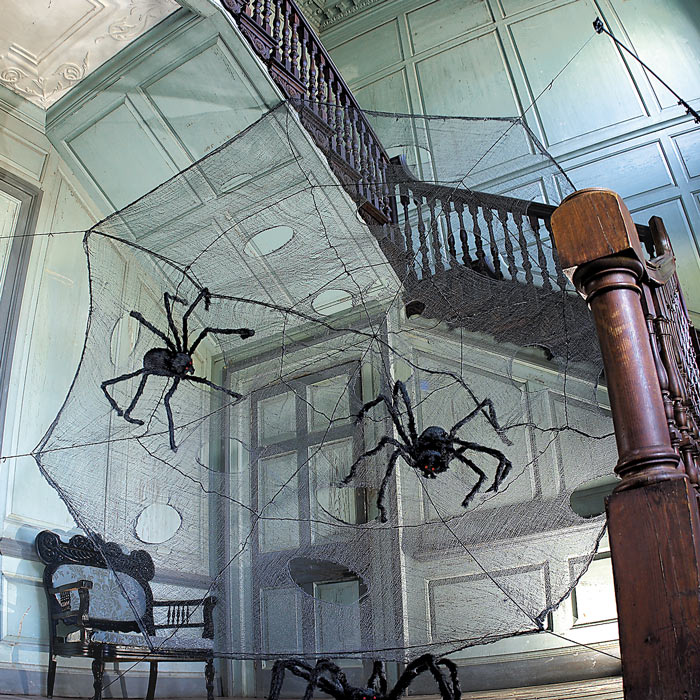 [black-web-spooky-spiders-1.jpg]