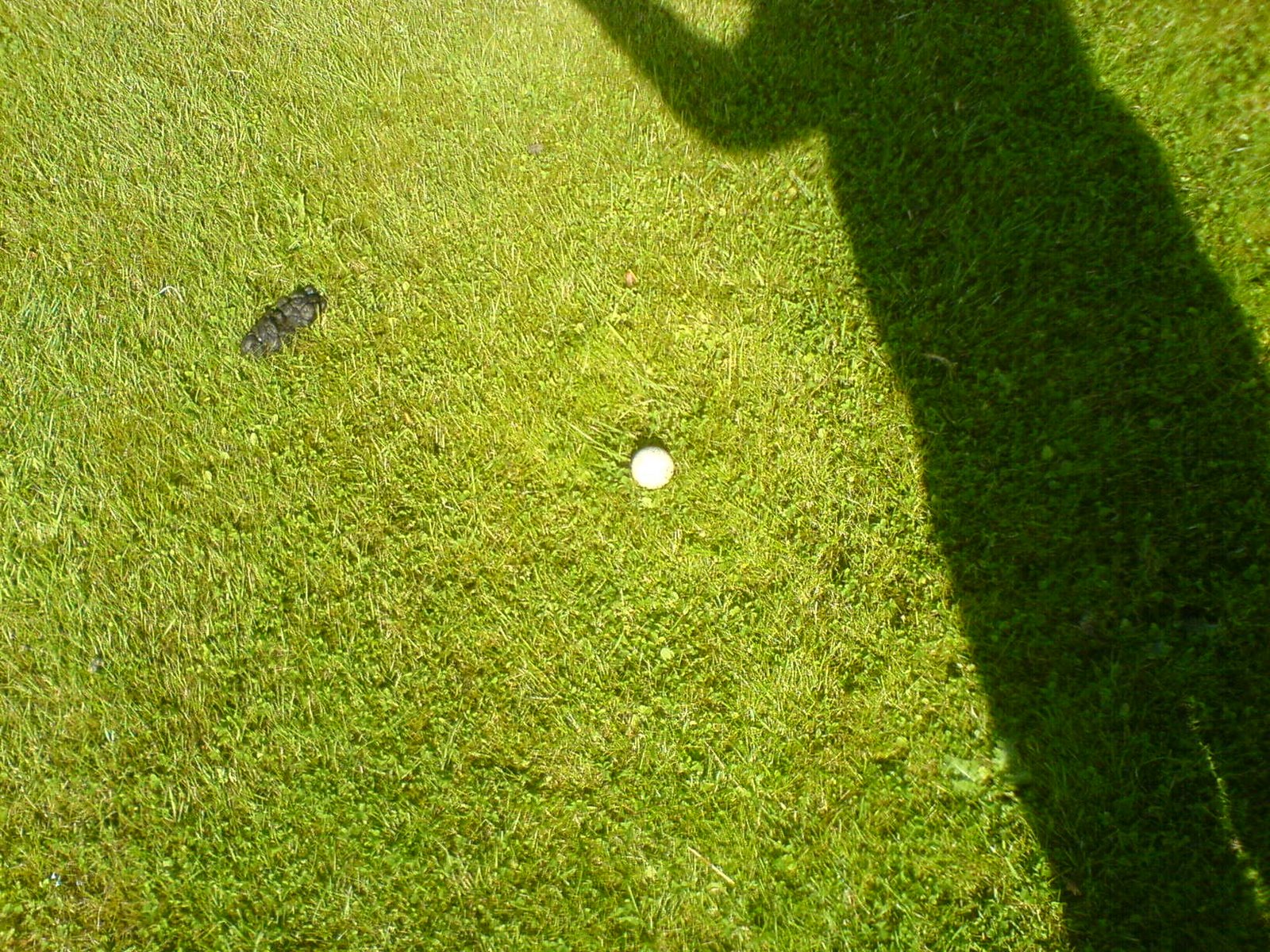 [Golfing+i+Sokndal+007.jpg]