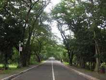 UP DILIMAN
