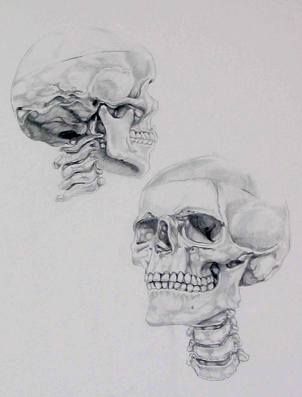 [skulls.jpg]