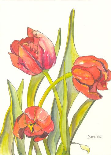 [tulips+from+anita.jpg]