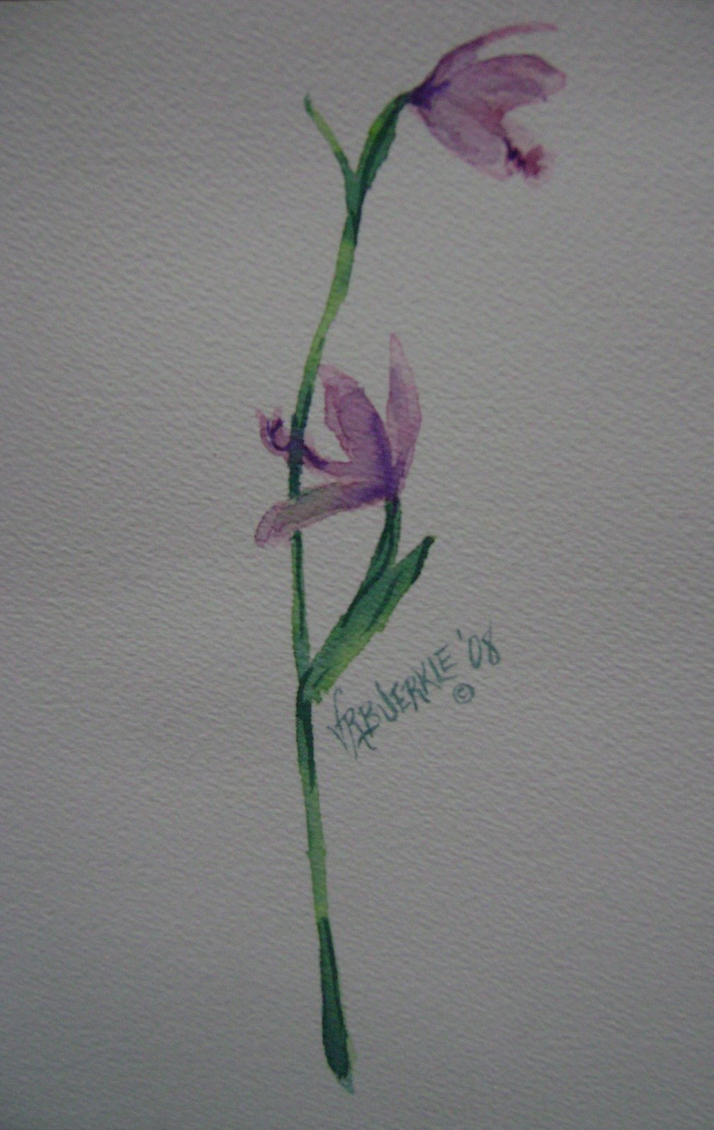 [orchid3.JPG]