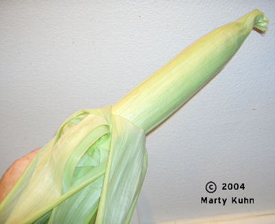 [Corn-02.jpg]