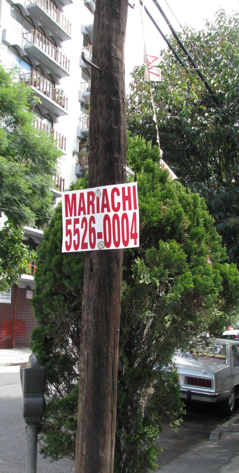 [mariachi+pole.JPG]