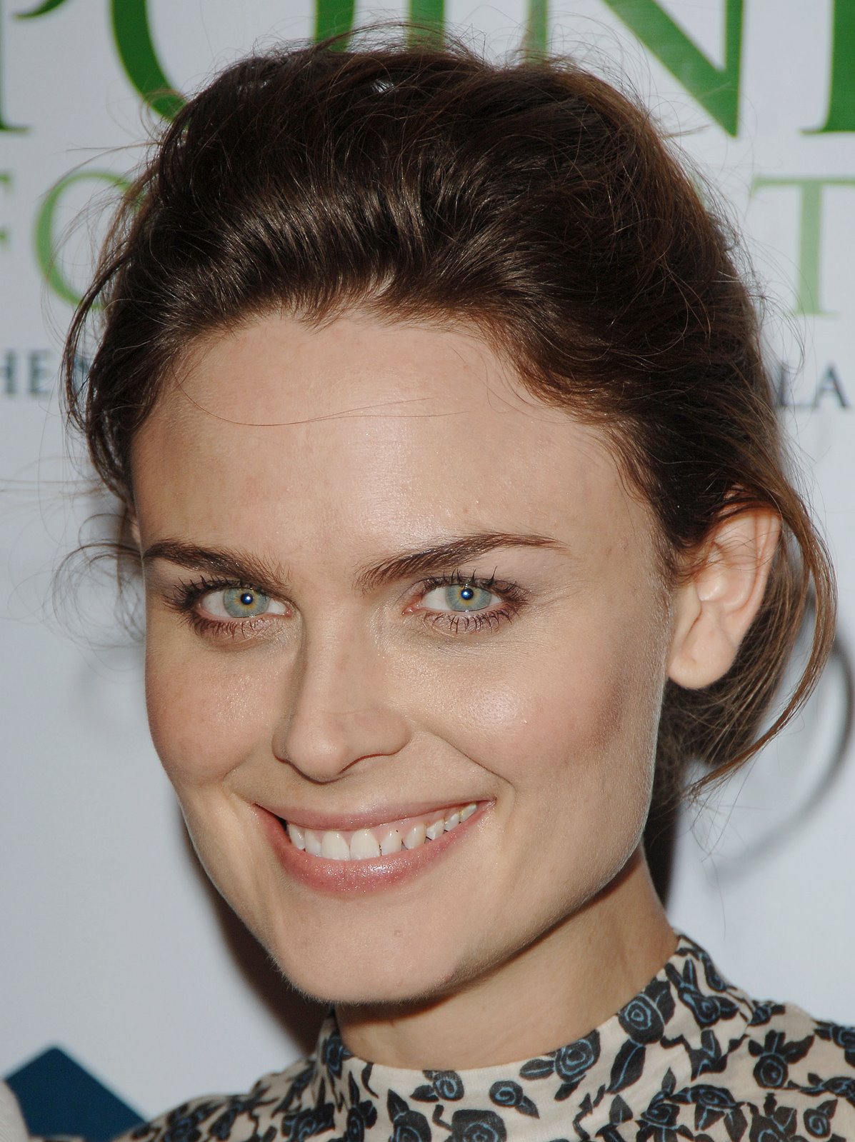 [76636_Emily_Deschanel_1st_Annual_Point_Foundation-s_Point_Honors_the_Arts_03_122_997lo.jpg]