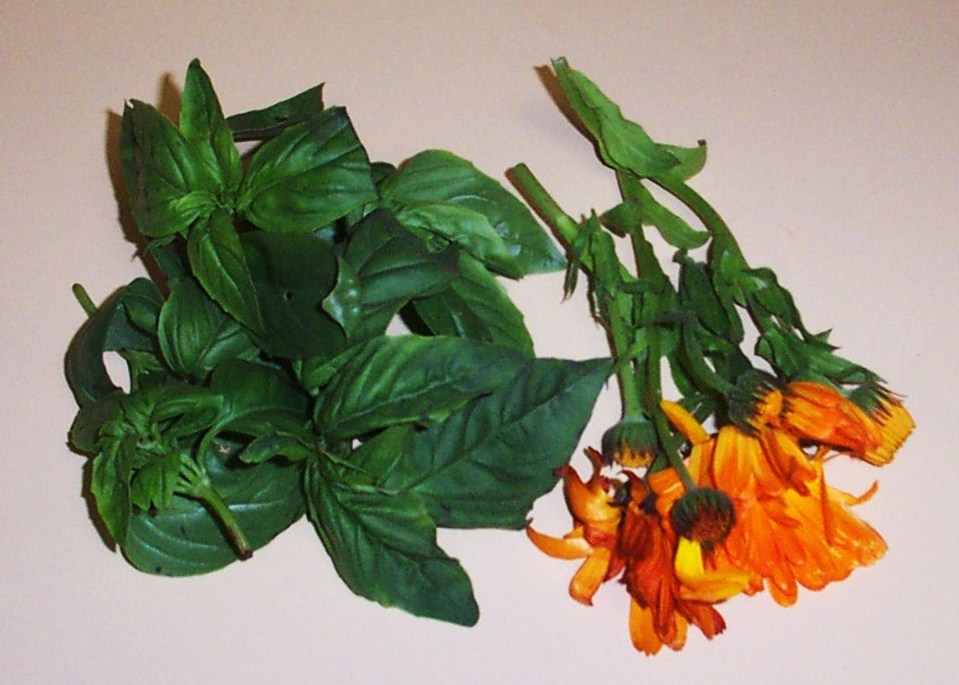 [02+Growing+WA+-+Basil+and+Edible+Flowers.JPG]