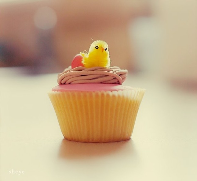 [sheye+cupcake.jpg]