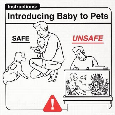 Baby Handling Instructions (27) 15