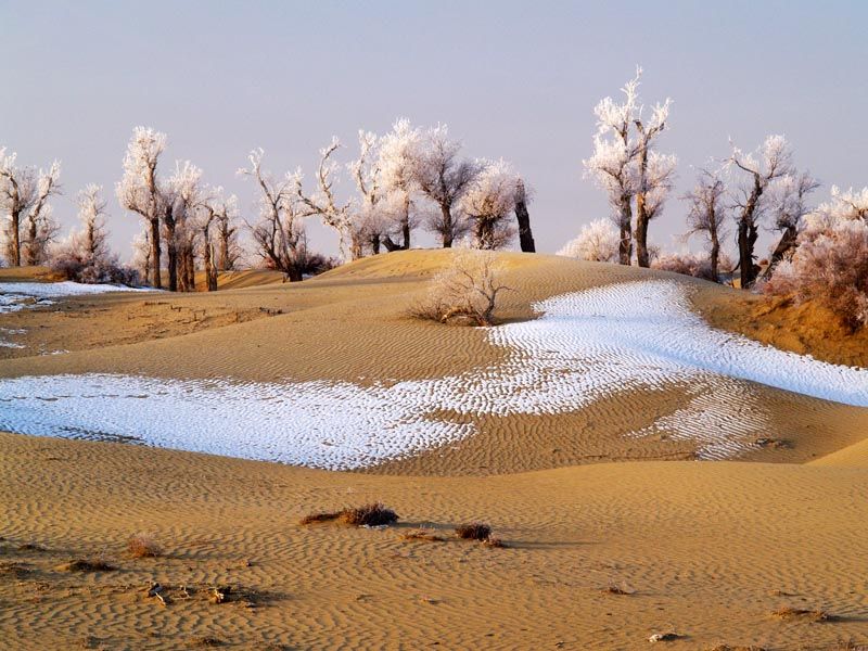 [Snow+in+Desert+(14).jfif]