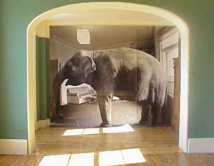 [elephant_in_living_room.jpg]