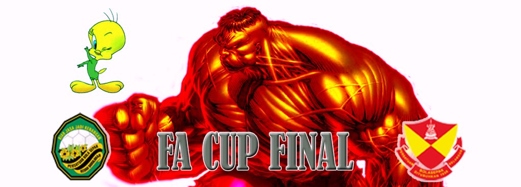 [fa+cup+final+08+v6.jpg]