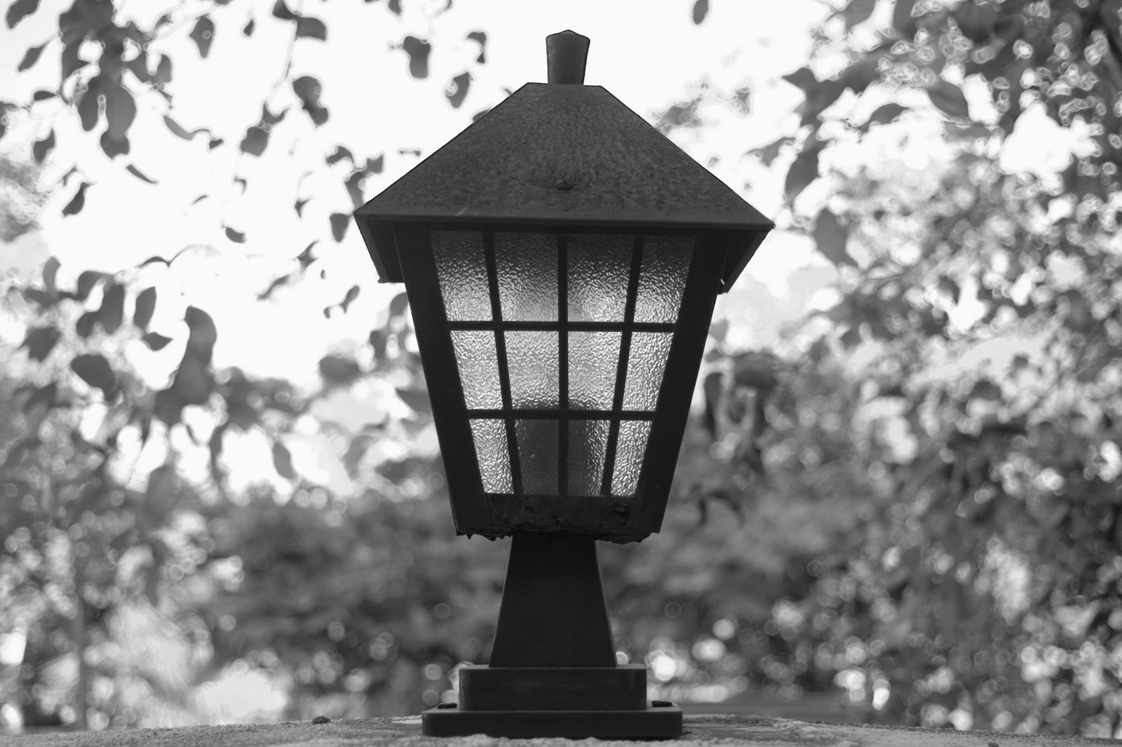 [the+lamp.jpg]