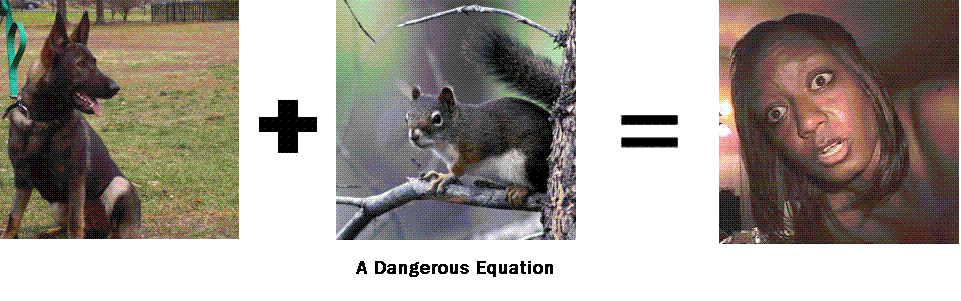 [equation.GIF]