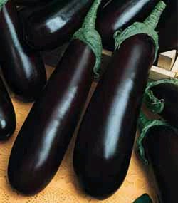 [Eggplant+Violetta+Lunga.bmp]