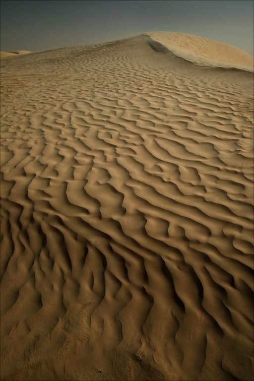 [sahara-desert-sand-dune.jpg]