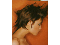 [punk-hairstyles-2008.jpg]