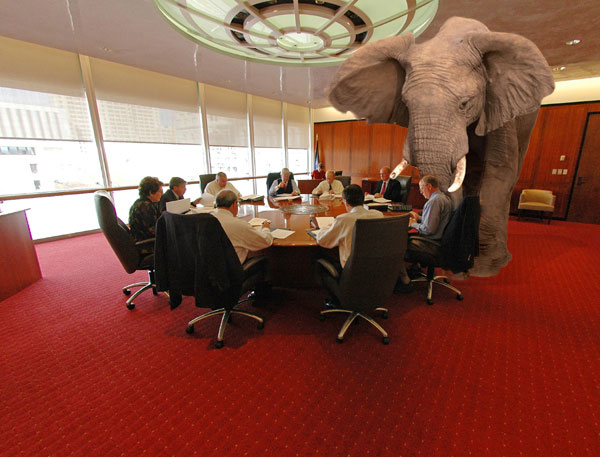 [Elephant-in-the-Room-Harrison.jpg]