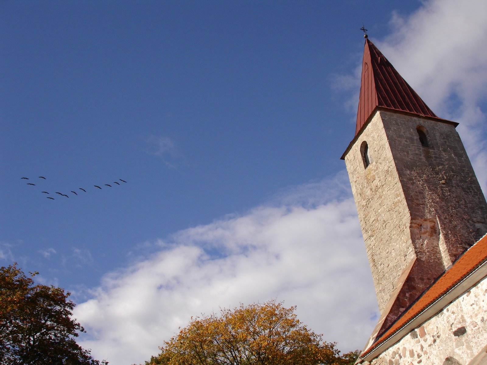 [Saaremaa+3,+Geese+over+country+church.JPG]
