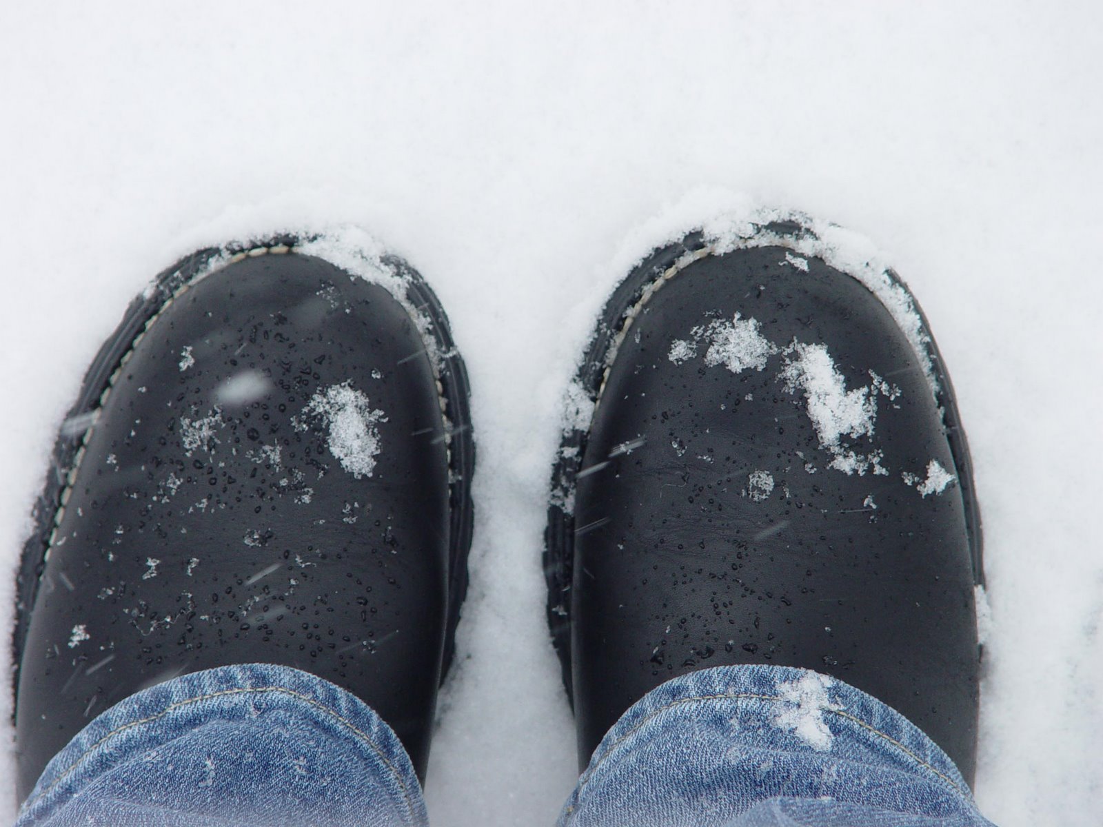 [snow_shoes.jpg]