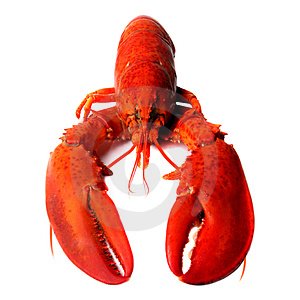 [red-lobster-thumb2949487.jpg]