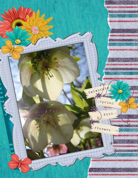 [celebrate+spring+with+flowers-qpr.jpg]