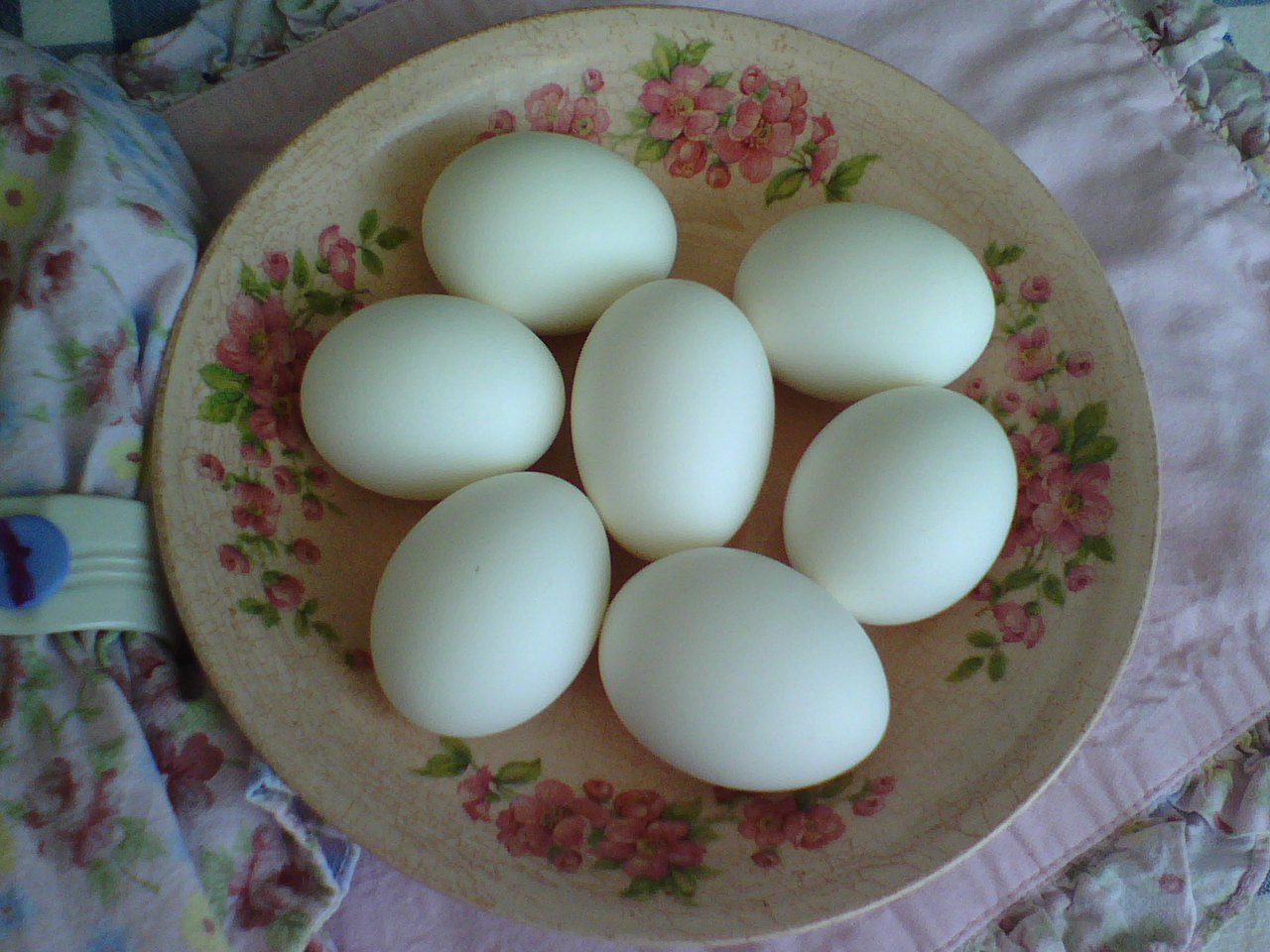 [eggs2.jpeg]