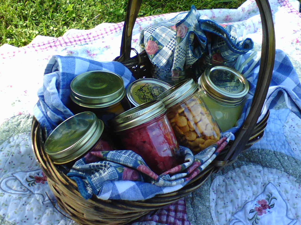 [picnic.jpeg]