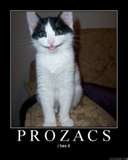 [prozac+cat.bmp]