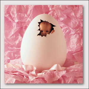[anne_geddes_preview_2.png]