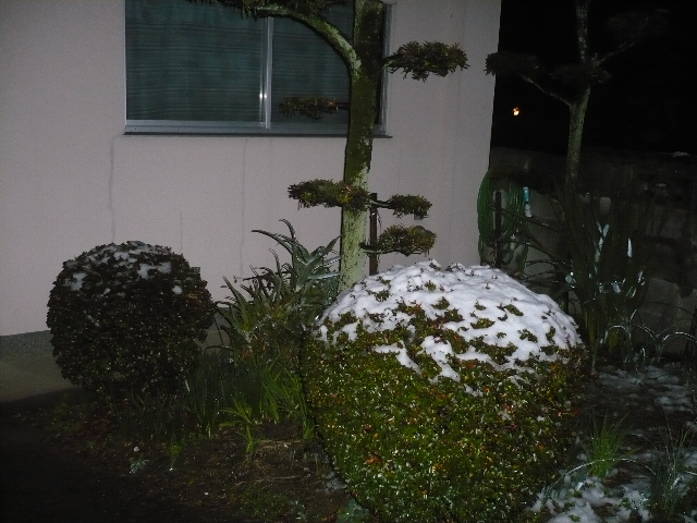 [snow+at+Ikoos+in+japan]