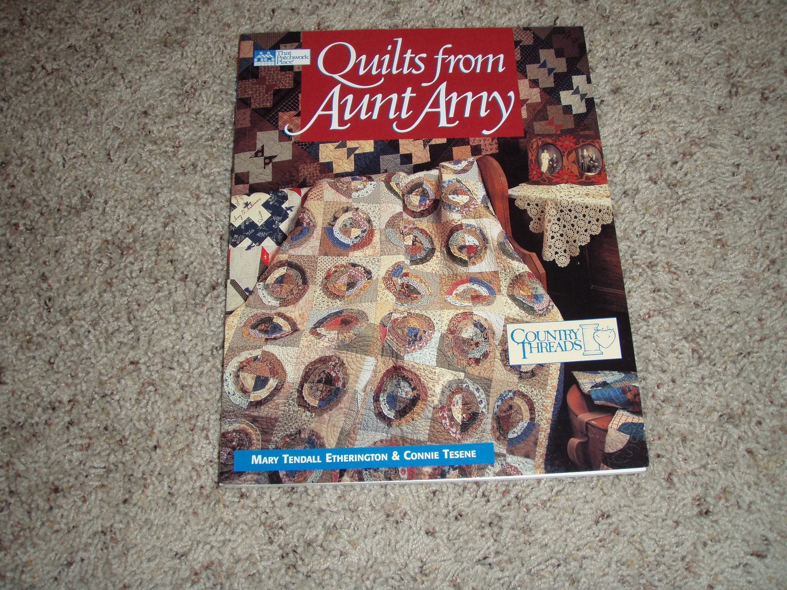 [quilts+from+aunt+amy+1.JPG]