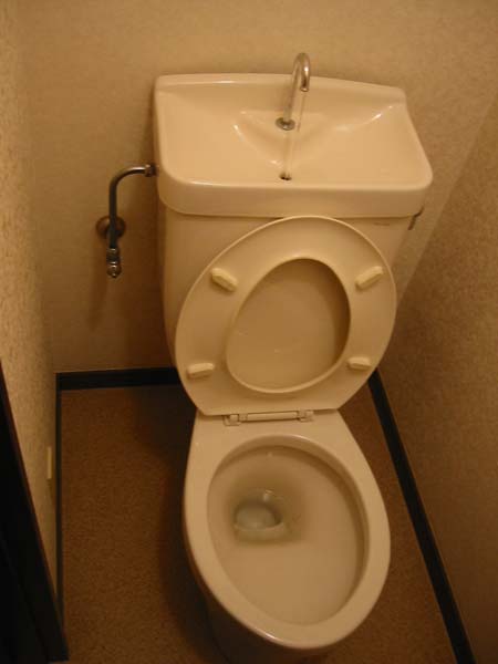 [toilet+2.jpg]