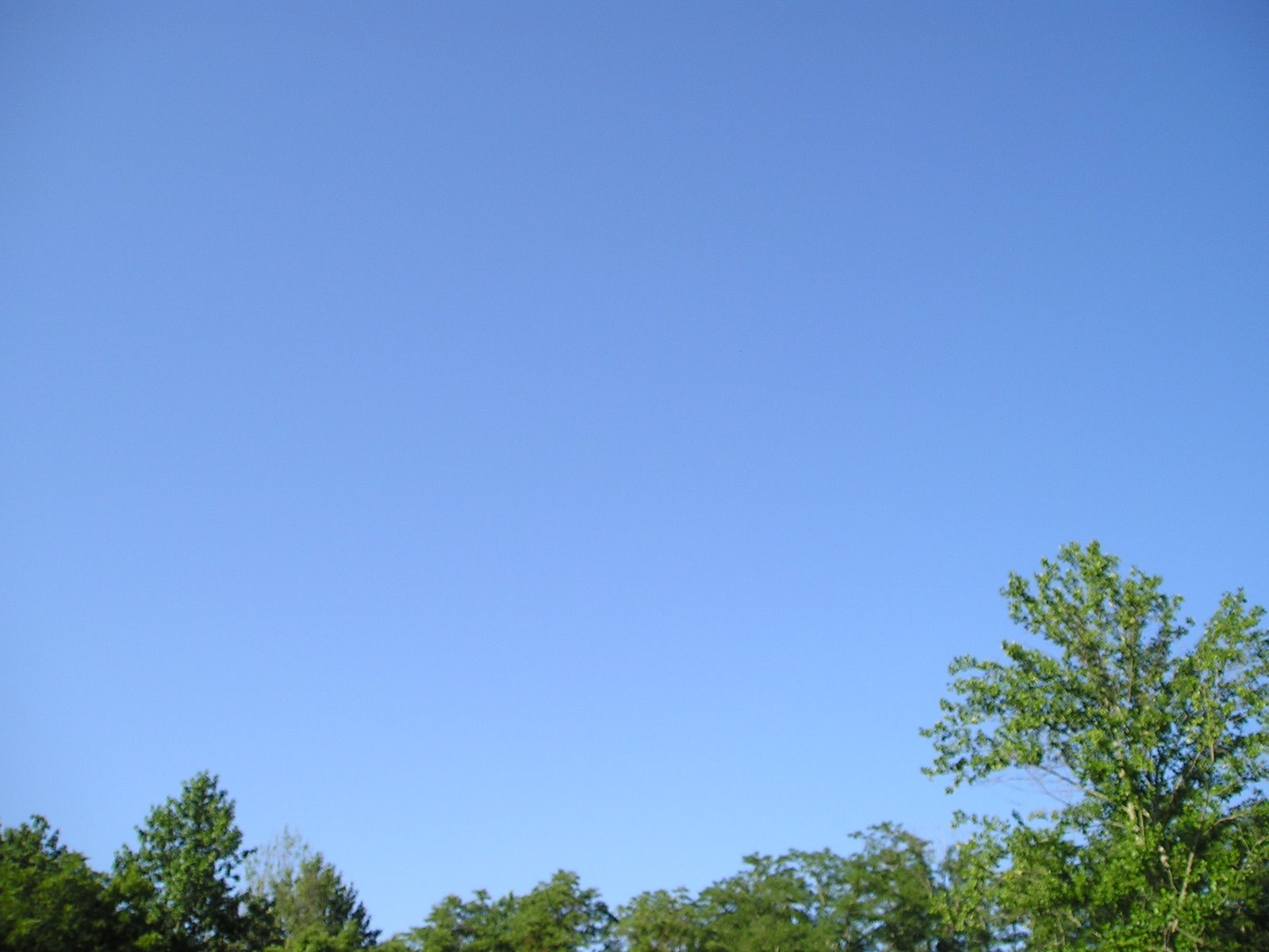 [Blue+Skies+6-2008+005.jpg]