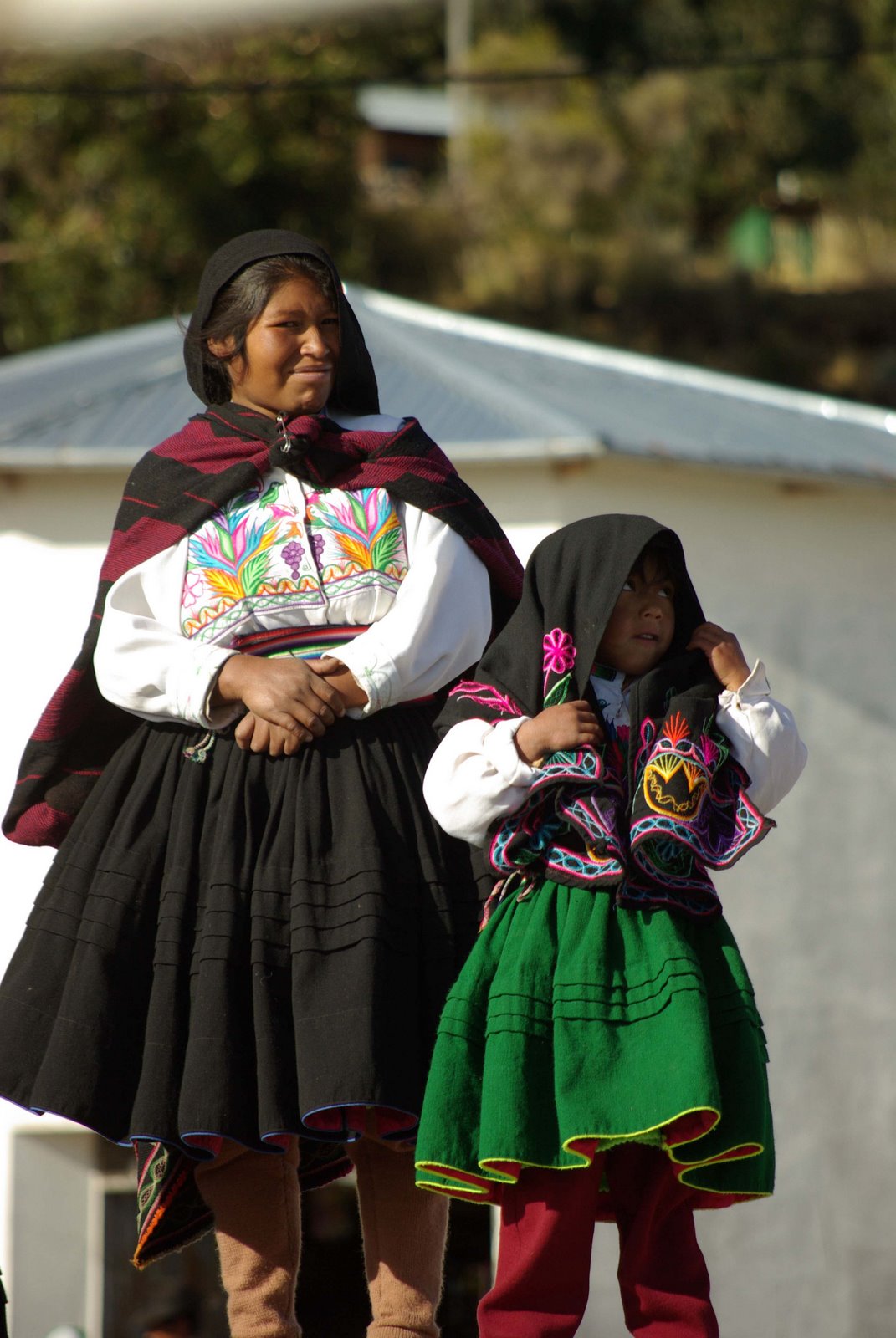 [andes+titicaca+6.jpg]